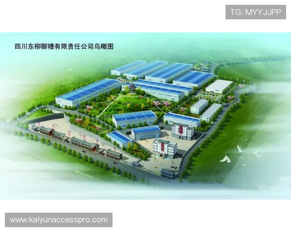 巴拉多利德俱乐部发展历程与未来战略分析报告